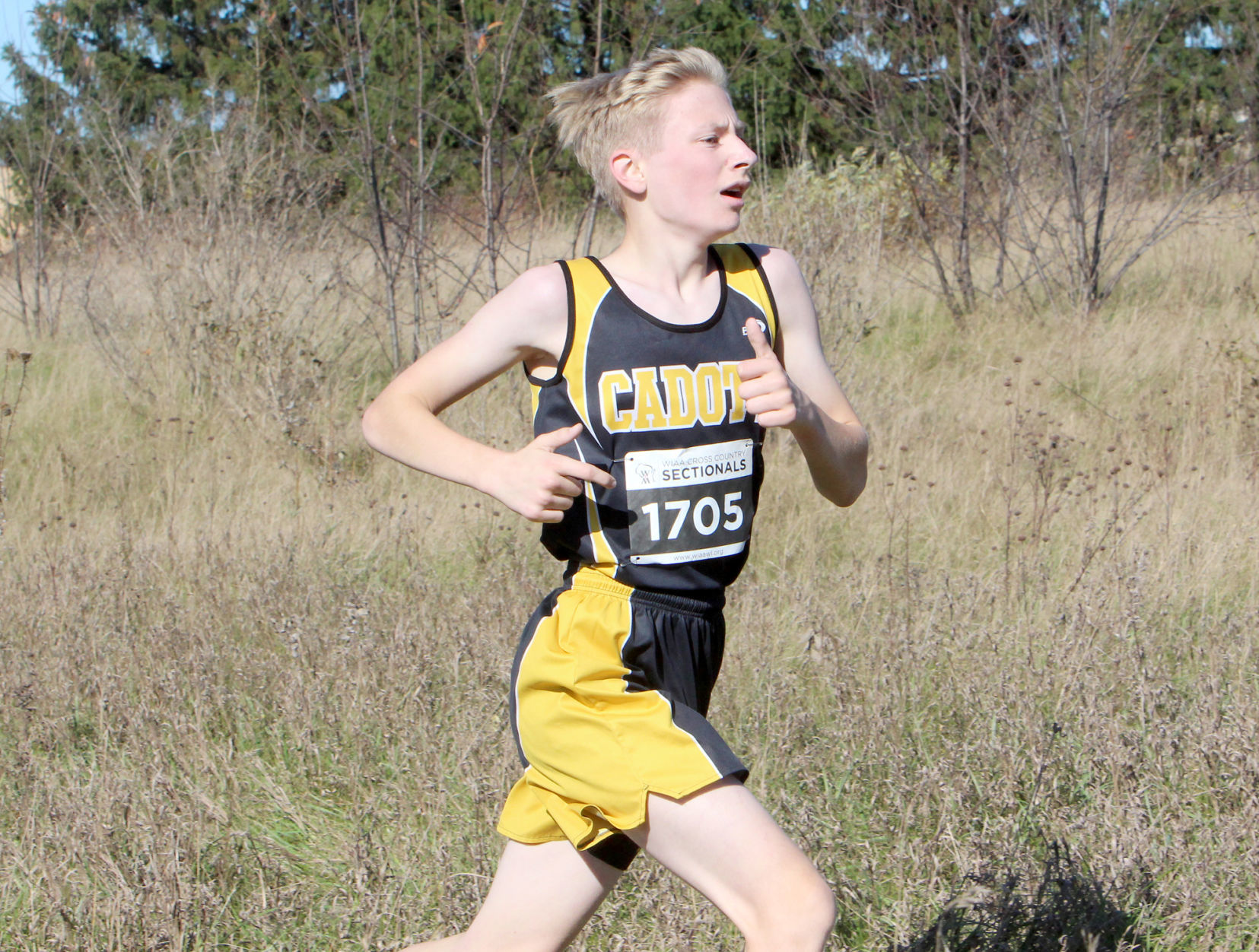 Division 3 Cross Country Sectionals in Boyceville 10-26-19